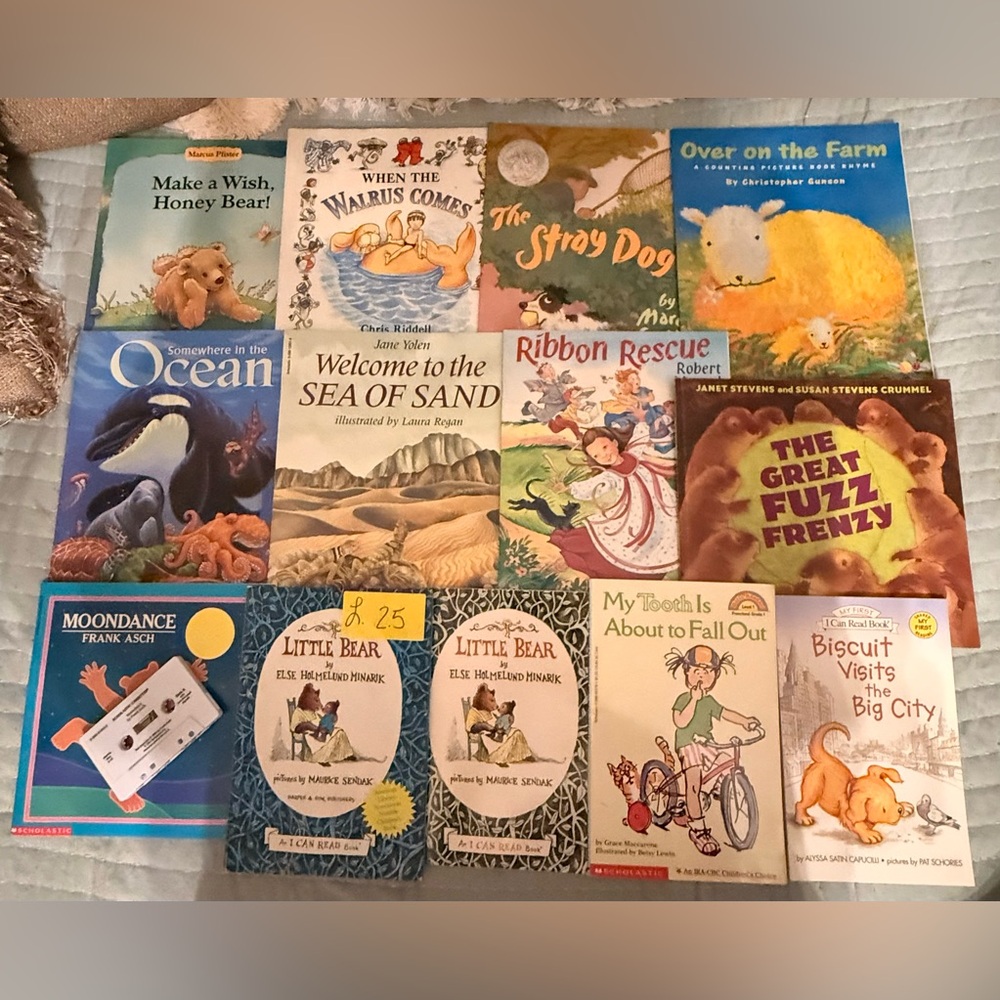 Lot of 13 Classroom Books Early Childhood Teacher Library Homeschool Scholastic